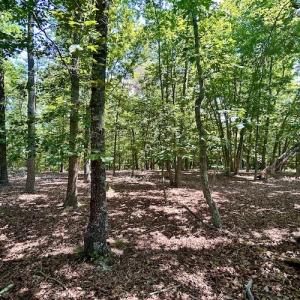 Photo #20 of Off Robin Ridge Court, Pittsville, VA 3.9 acres
