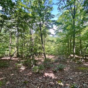 Photo #23 of Off Robin Ridge Court, Pittsville, VA 3.9 acres