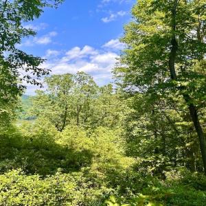 Photo #25 of Off Robin Ridge Court, Pittsville, VA 3.9 acres