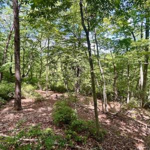 Photo #27 of Off Robin Ridge Court, Pittsville, VA 3.9 acres