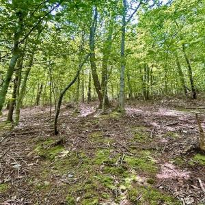 Photo #28 of Off Robin Ridge Court, Pittsville, VA 3.9 acres
