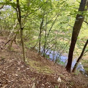 Photo #29 of Off Robin Ridge Court, Pittsville, VA 3.9 acres