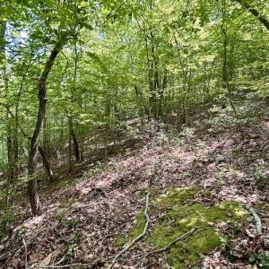 Photo #30 of Off Robin Ridge Court, Pittsville, VA 3.9 acres