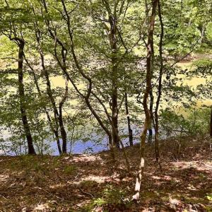 Photo #36 of Off Robin Ridge Court, Pittsville, VA 3.9 acres