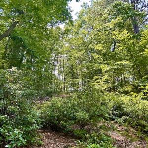Photo #37 of Off Robin Ridge Court, Pittsville, VA 3.9 acres