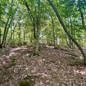 Photo #38 of Off Robin Ridge Court, Pittsville, VA 3.9 acres