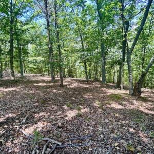 Photo #39 of Off Robin Ridge Court, Pittsville, VA 3.9 acres