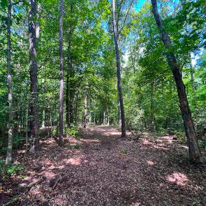 Photo #14 of SOLD property in Off Clifton Road, Woodford, VA 44.9 acres