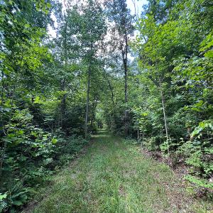 Photo #33 of SOLD property in Off Clifton Road, Woodford, VA 44.9 acres