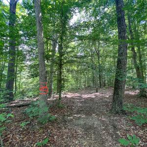 Photo #35 of SOLD property in Off Clifton Road, Woodford, VA 44.9 acres