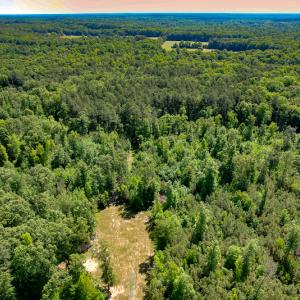 Photo #45 of SOLD property in Off Clifton Road, Woodford, VA 44.9 acres
