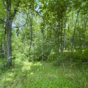 Photo #16 of SOLD property in Off Centennial Drive , Yanceyville, NC 4.0 acres