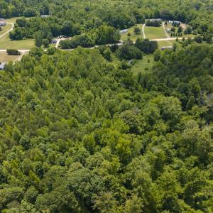Photo #6 of SOLD property in Off Centennial Drive , Yanceyville, NC 4.0 acres