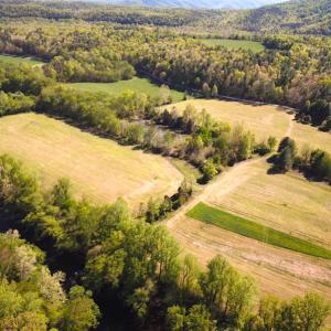 Photo #4 of SOLD property in Off Deisher Blvd , Eagle Rock, VA 183.0 acres