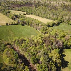 Photo #7 of SOLD property in Off Deisher Blvd , Eagle Rock, VA 183.0 acres