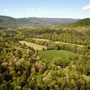 Photo #8 of SOLD property in Off Deisher Blvd , Eagle Rock, VA 183.0 acres