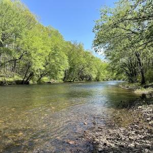 Photo #13 of SOLD property in Off Deisher Blvd , Eagle Rock, VA 183.0 acres