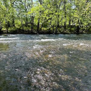 Photo #15 of SOLD property in Off Deisher Blvd , Eagle Rock, VA 183.0 acres