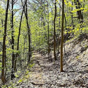 Photo #18 of SOLD property in Off Deisher Blvd , Eagle Rock, VA 183.0 acres