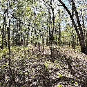 Photo #19 of SOLD property in Off Deisher Blvd , Eagle Rock, VA 183.0 acres