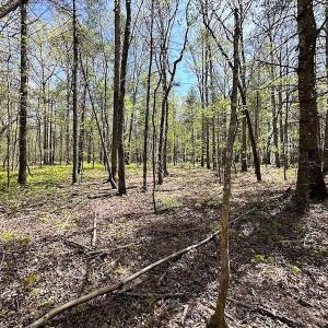 Photo #20 of SOLD property in Off Deisher Blvd , Eagle Rock, VA 183.0 acres