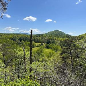 Photo #22 of SOLD property in Off Deisher Blvd , Eagle Rock, VA 183.0 acres