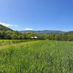 Photo #23 of SOLD property in Off Deisher Blvd , Eagle Rock, VA 183.0 acres