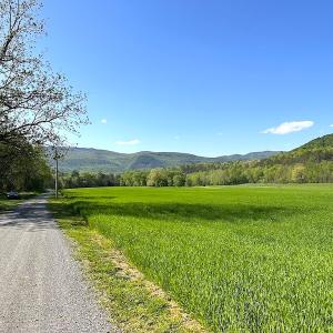 Photo #24 of SOLD property in Off Deisher Blvd , Eagle Rock, VA 183.0 acres