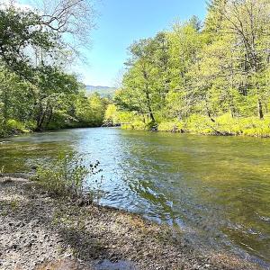 Photo #26 of SOLD property in Off Deisher Blvd , Eagle Rock, VA 183.0 acres