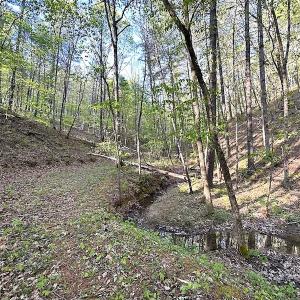 Photo #29 of SOLD property in Off Deisher Blvd , Eagle Rock, VA 183.0 acres