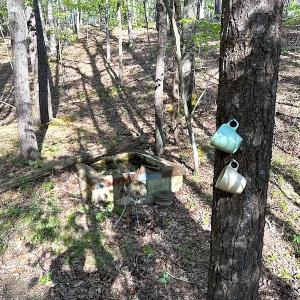 Photo #32 of SOLD property in Off Deisher Blvd , Eagle Rock, VA 183.0 acres