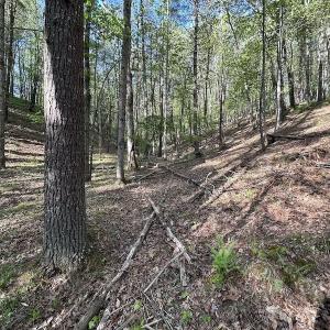 Photo #34 of SOLD property in Off Deisher Blvd , Eagle Rock, VA 183.0 acres