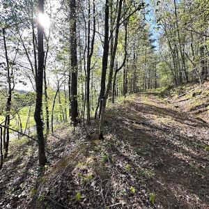 Photo #35 of SOLD property in Off Deisher Blvd , Eagle Rock, VA 183.0 acres