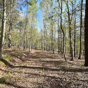 Photo #36 of SOLD property in Off Deisher Blvd , Eagle Rock, VA 183.0 acres
