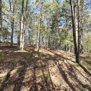 Photo #37 of SOLD property in Off Deisher Blvd , Eagle Rock, VA 183.0 acres