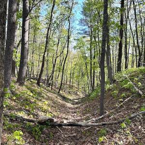 Photo #38 of SOLD property in Off Deisher Blvd , Eagle Rock, VA 183.0 acres