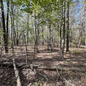 Photo #44 of SOLD property in Off Deisher Blvd , Eagle Rock, VA 183.0 acres