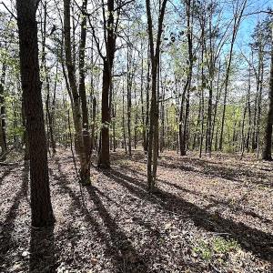 Photo #45 of SOLD property in Off Deisher Blvd , Eagle Rock, VA 183.0 acres
