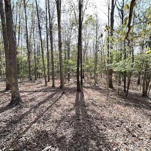 Photo #46 of SOLD property in Off Deisher Blvd , Eagle Rock, VA 183.0 acres