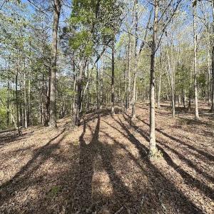 Photo #47 of SOLD property in Off Deisher Blvd , Eagle Rock, VA 183.0 acres