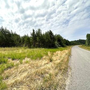 Photo #2 of SOLD property in Off Blue Star Hwy, Jarratt, VA 37.0 acres