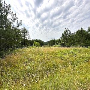 Photo #4 of SOLD property in Off Blue Star Hwy, Jarratt, VA 37.0 acres