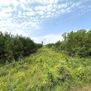 Photo #5 of SOLD property in Off Blue Star Hwy, Jarratt, VA 37.0 acres