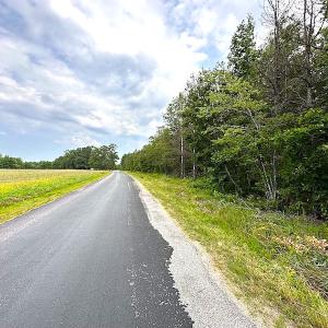 Photo #6 of SOLD property in Off Blue Star Hwy, Jarratt, VA 37.0 acres