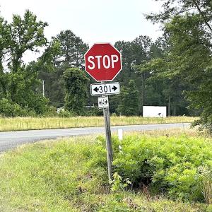 Photo #7 of SOLD property in Off Blue Star Hwy, Jarratt, VA 37.0 acres