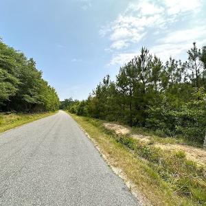 Photo #11 of SOLD property in Off Blue Star Hwy, Jarratt, VA 37.0 acres