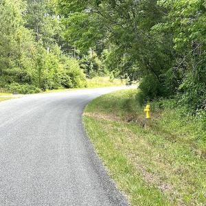 Photo #12 of SOLD property in Off Blue Star Hwy, Jarratt, VA 37.0 acres