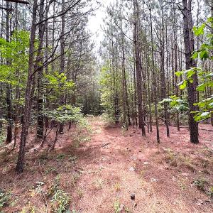 Photo #3 of SOLD property in Off Blue Star Hwy, Jarratt, VA 20.0 acres