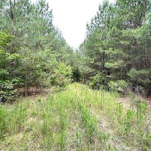 Photo #11 of SOLD property in Off Blue Star Hwy, Jarratt, VA 20.0 acres