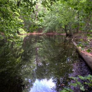 Photo #8 of Off Howard Avenue Extension, Tarboro, NC 32.0 acres